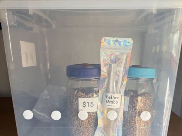 Grow Kits